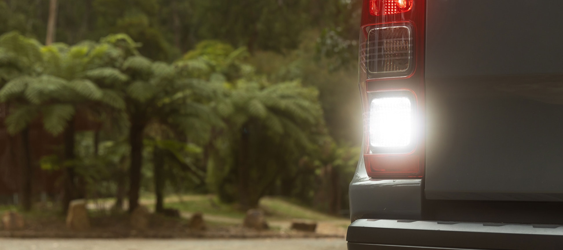 STEDI T10 / T15 1000 Lumen LED